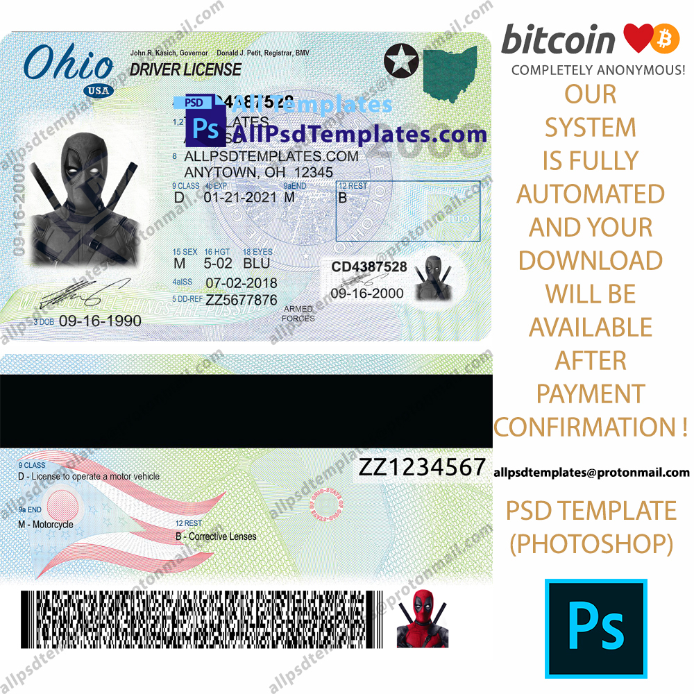 free-editable-drivers-license-template-holylio